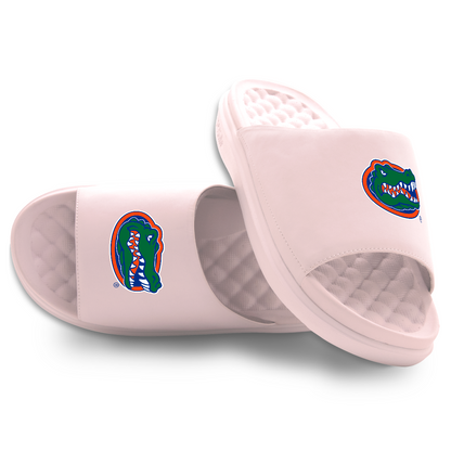 Florida Gators Primary Motive Slides