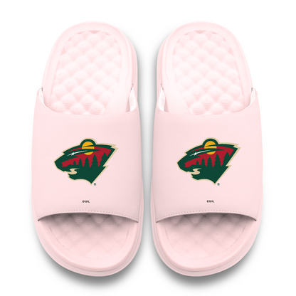 Minnesota Wild Primary Motive