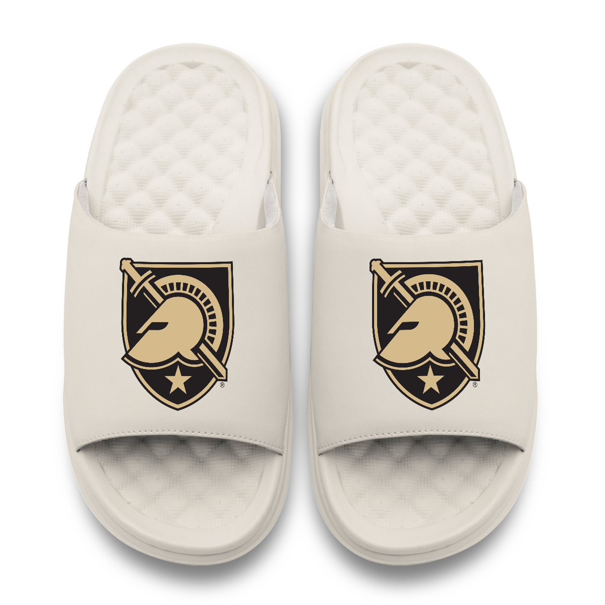 Army Black Knights Primary Motive