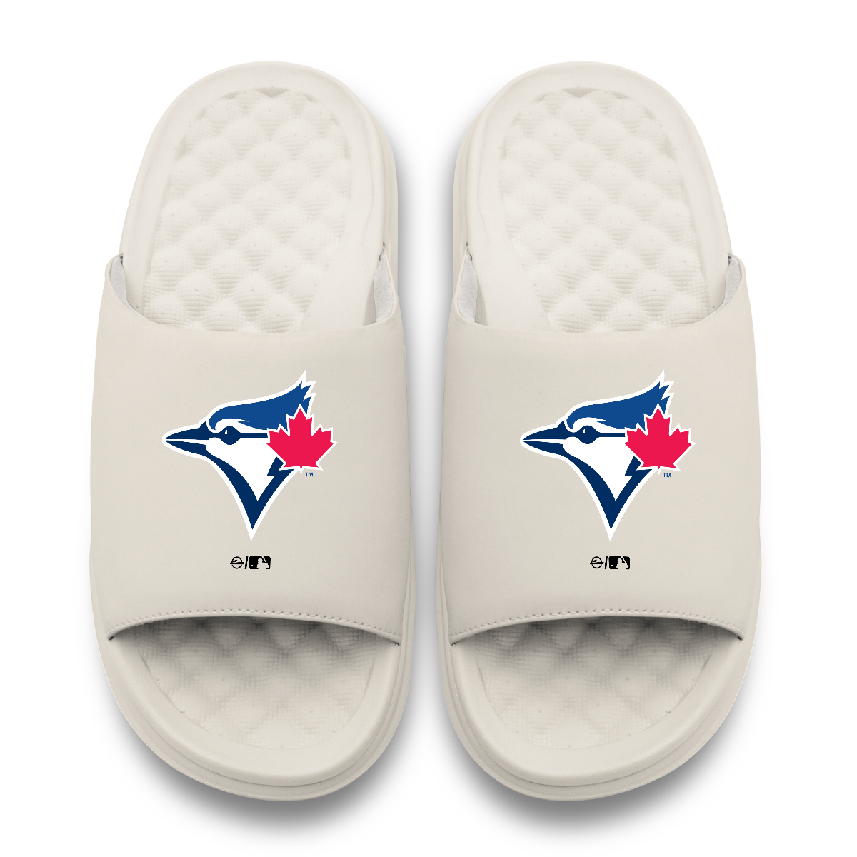 Toronto Blue Jays Primary Motive Slides