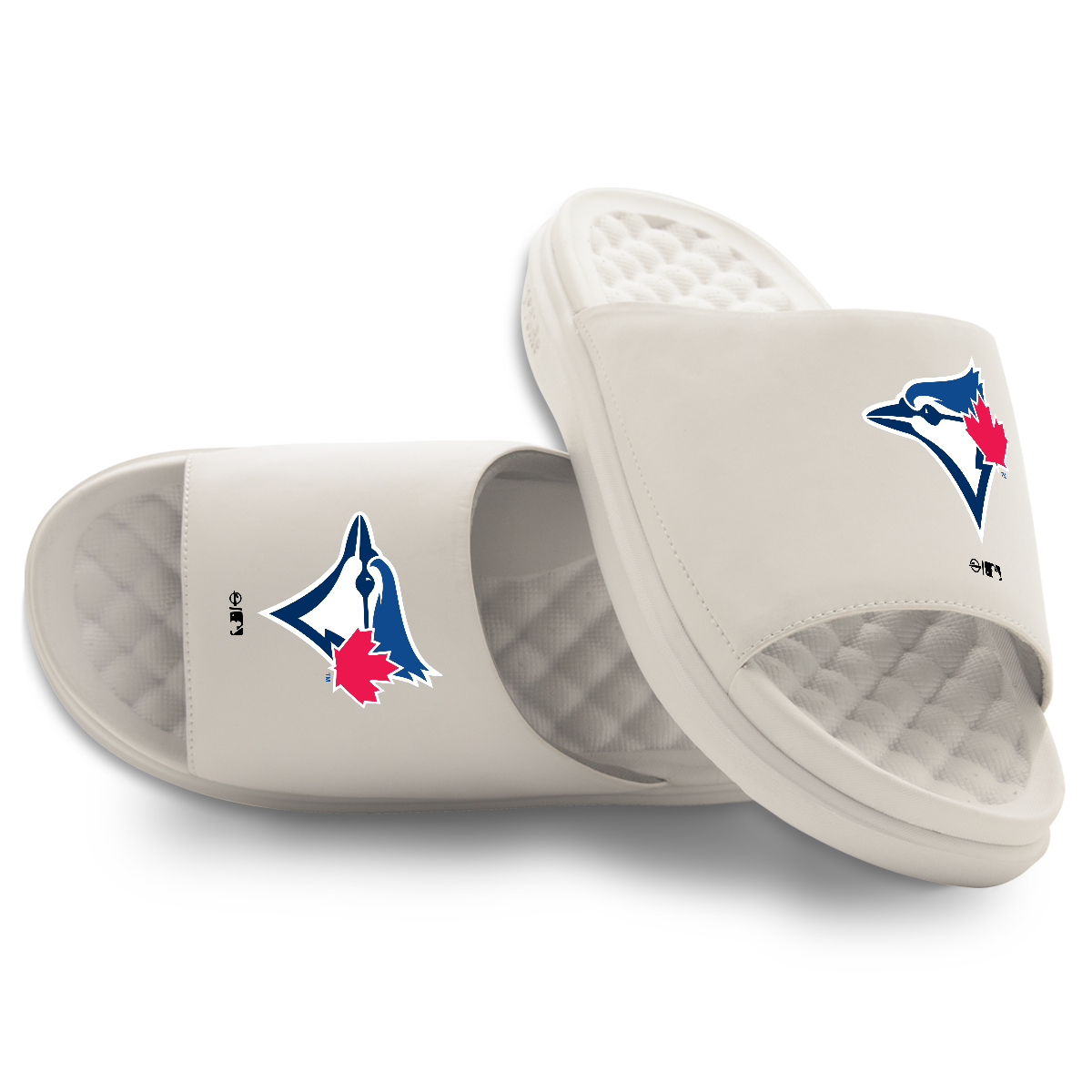 Toronto Blue Jays Primary Motive Slides