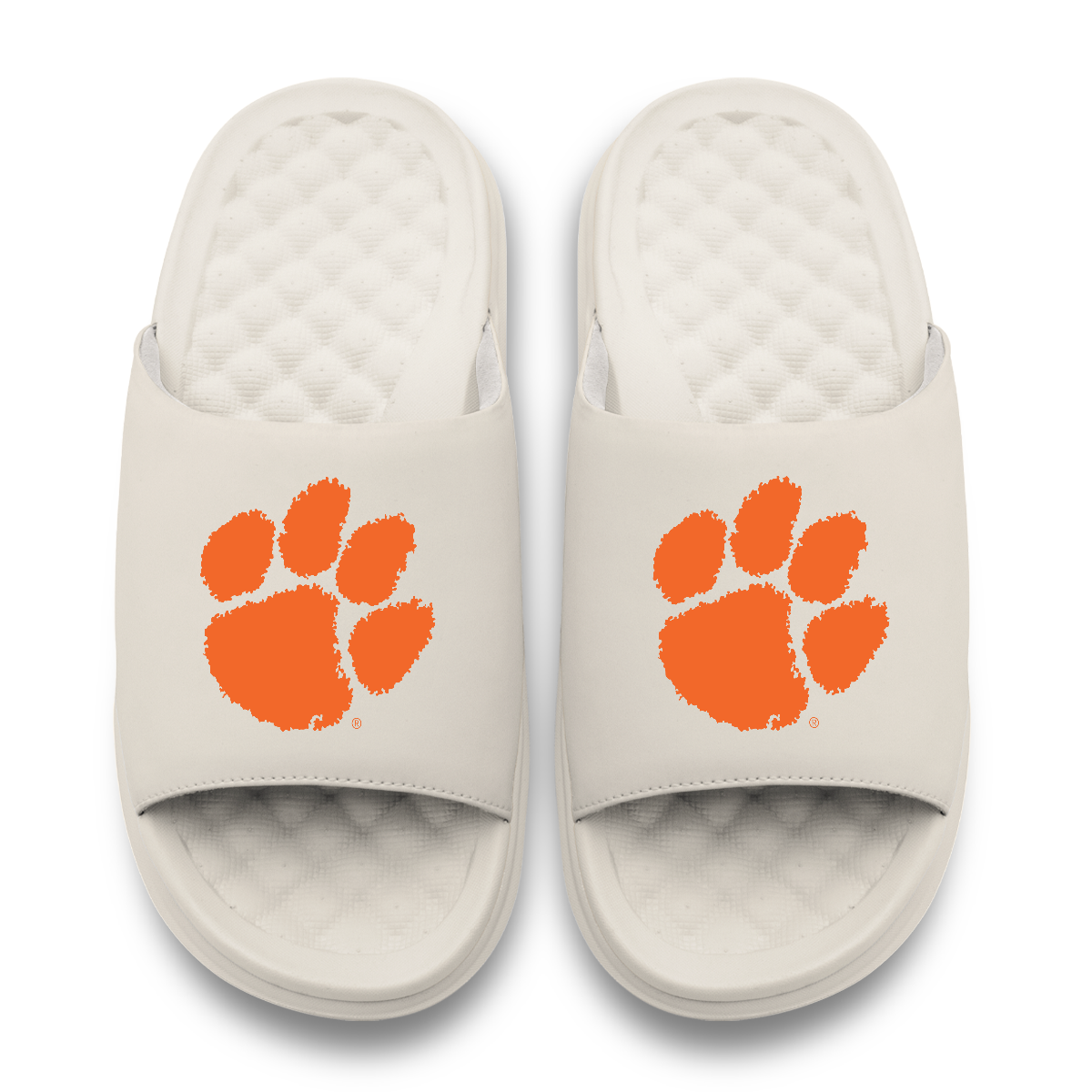 Clemson Tigers Primary Motive Slides