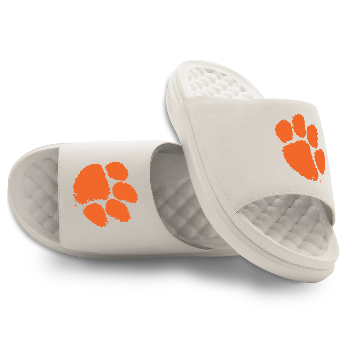 Clemson Tigers Primary Motive Slides