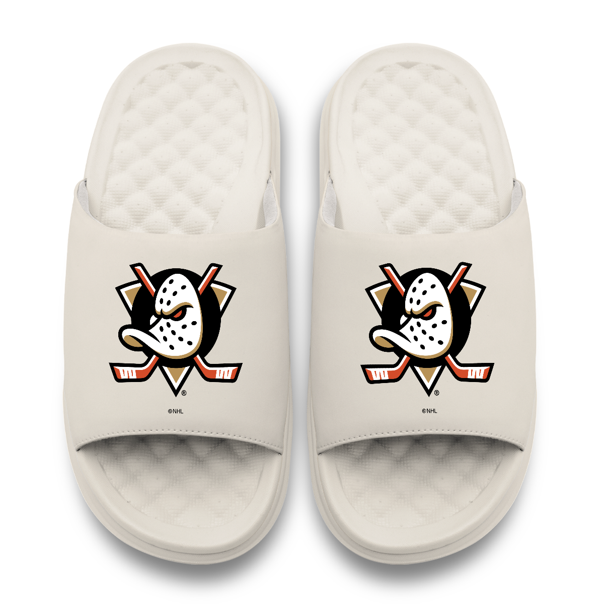 Anaheim Ducks Primary Motive