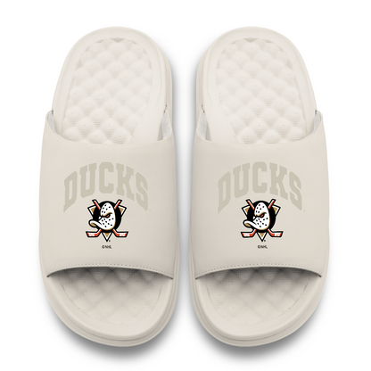 Anaheim Ducks Tonal Pop Motive