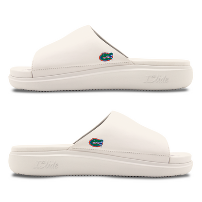 Florida Gators Minimalistic Motive Slides