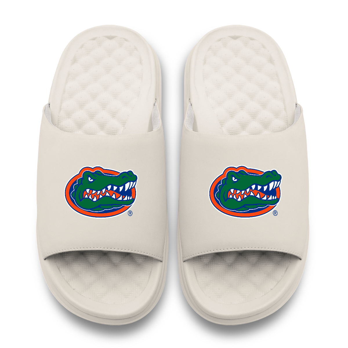 Florida Gators Primary Motive Slides