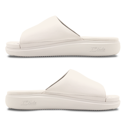 Florida State Seminoles Tonal Pop Motive