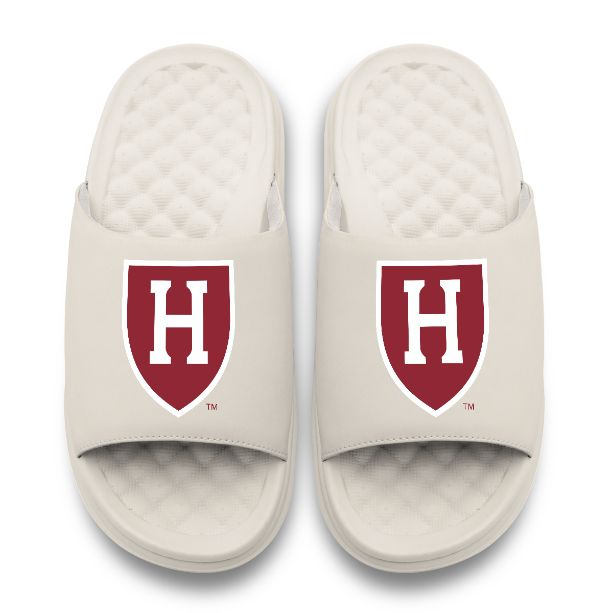 Harvard Crimson Primary Motive Slides