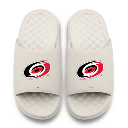 Carolina Hurricanes Primary Motive