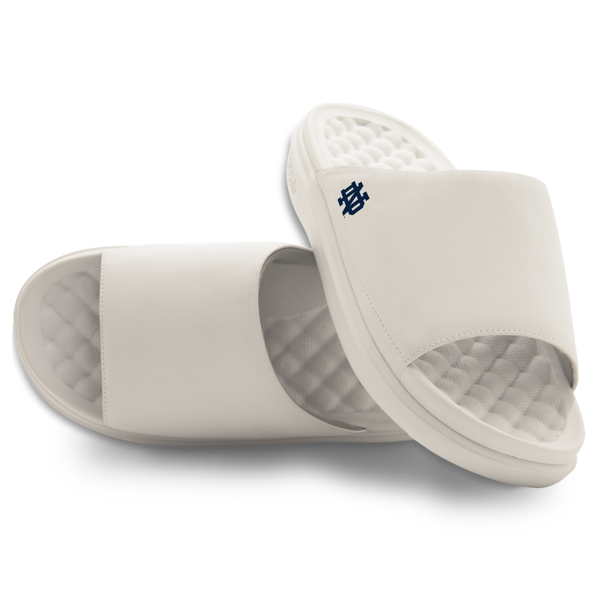 Notre Dame Fighting Irish Minimalistic Motive Slides