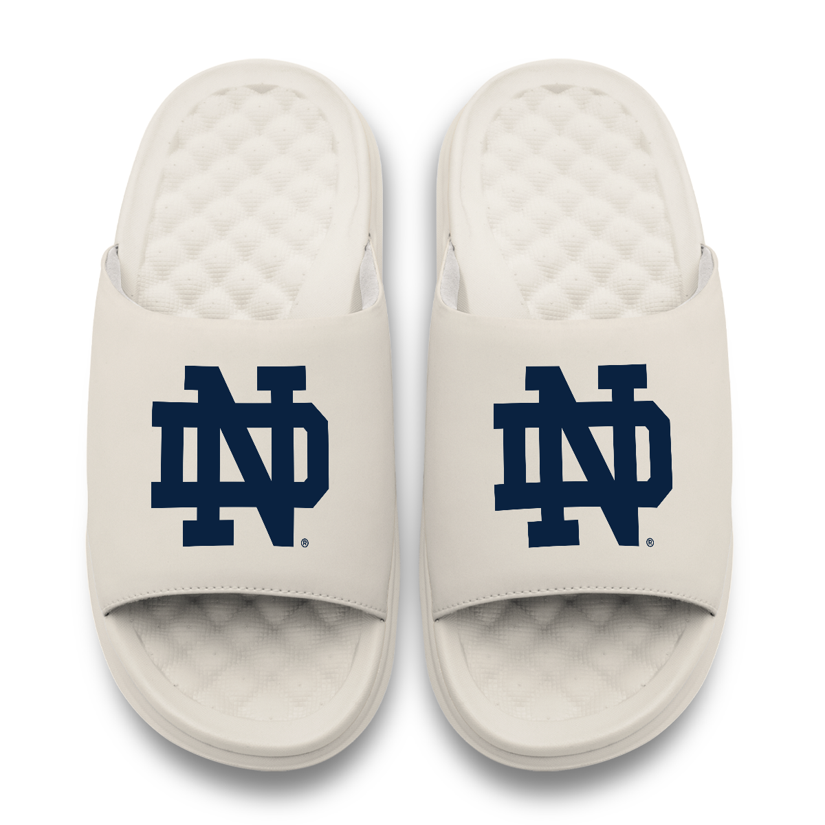 Notre Dame Fighting Irish Primary Motive