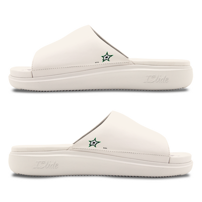 Dallas Stars Minimalistic Motive