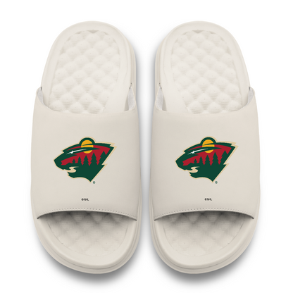 Minnesota Wild Primary Motive