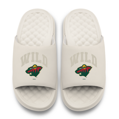 Minnesota Wild Tonal Pop Motive