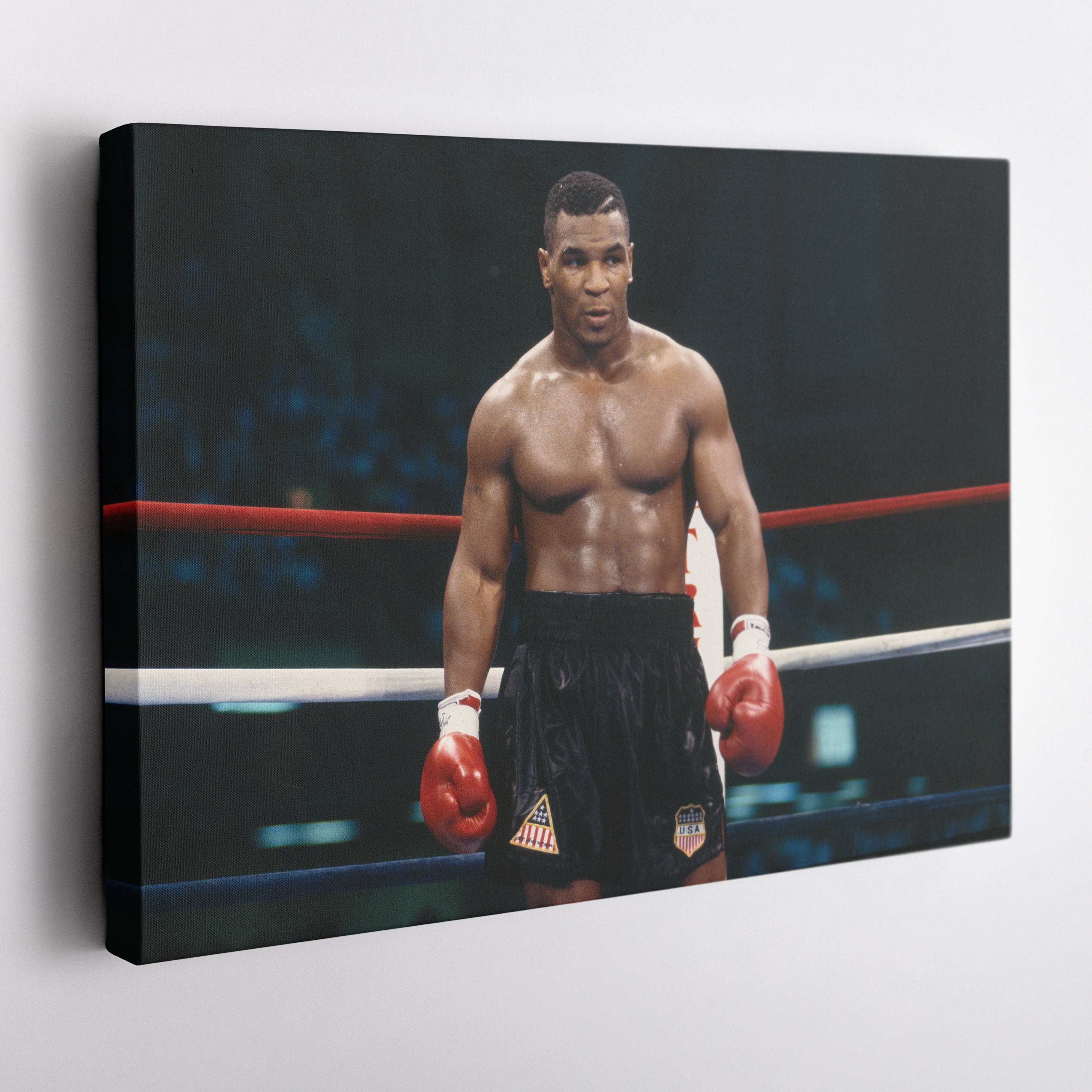 Mike Tyson Canvas Boxing Wall Art