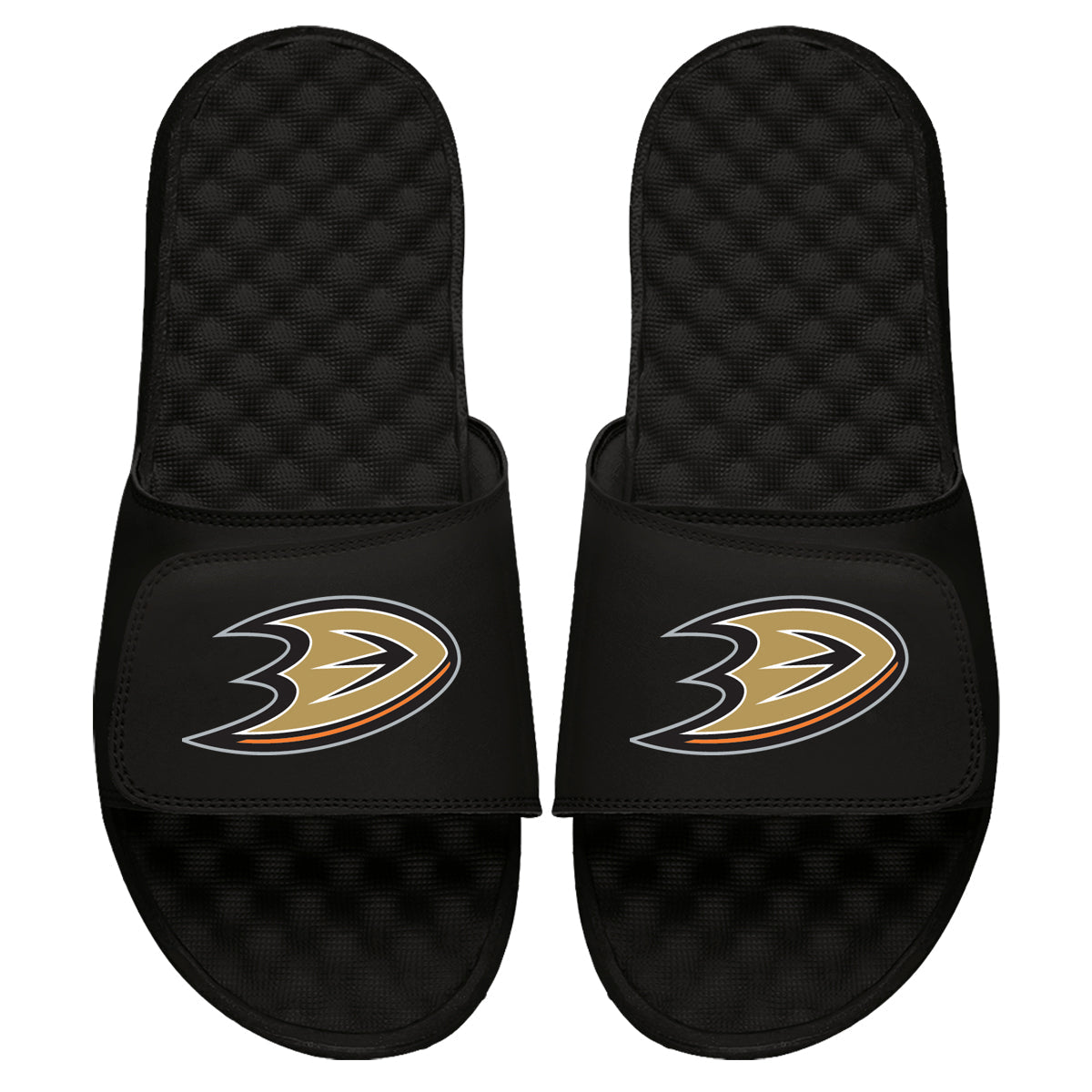 Anaheim Ducks Primary Slides