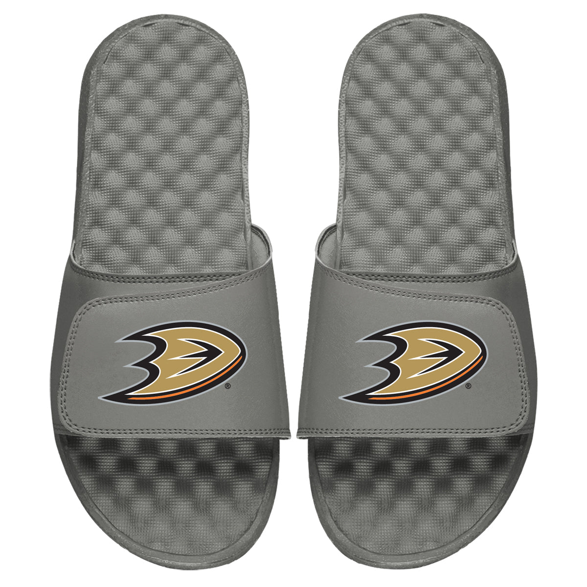 Anaheim Ducks Primary Slides