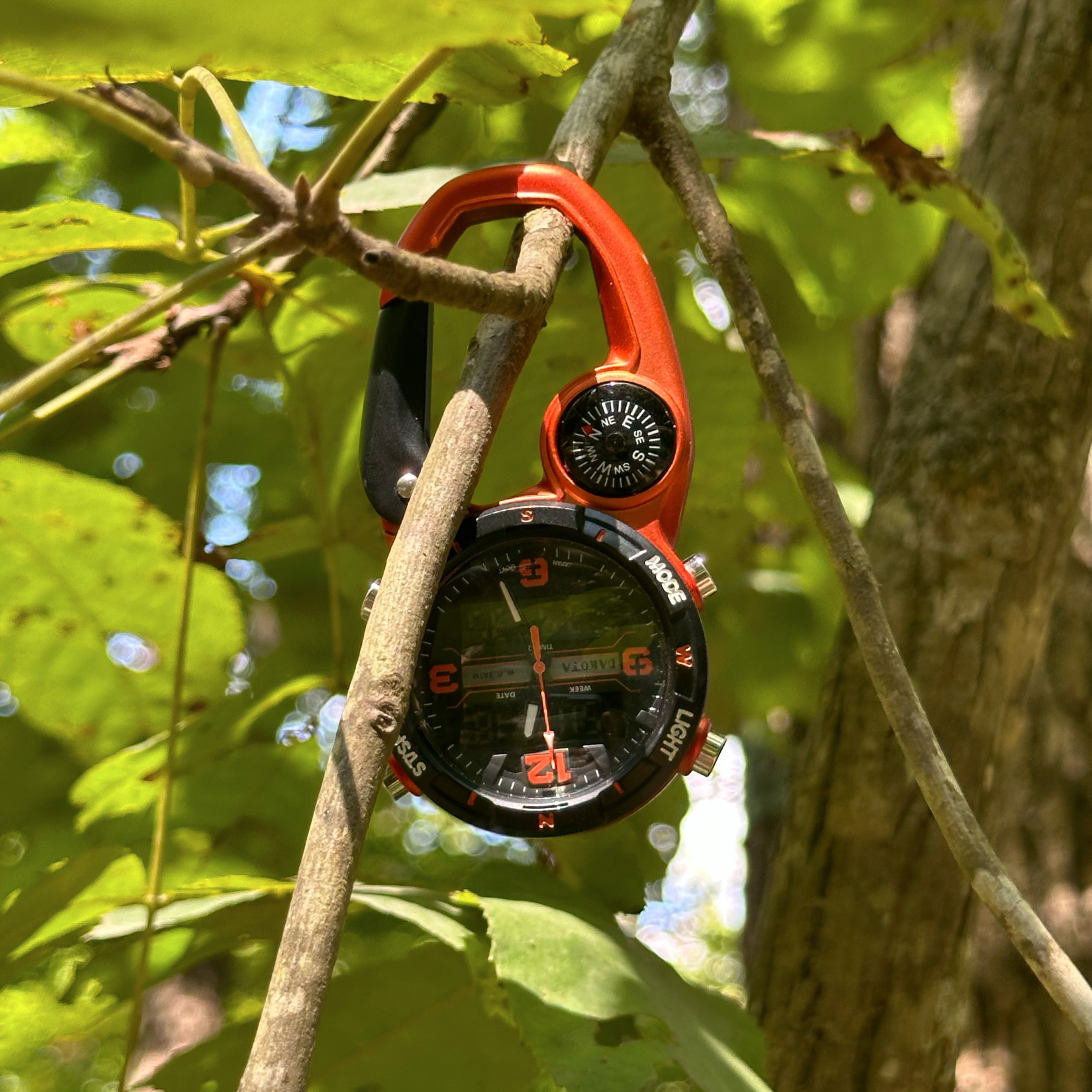 Analog Digital Clip - 38267