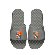 Cincinnati Bengals New Cats Breaking Slides