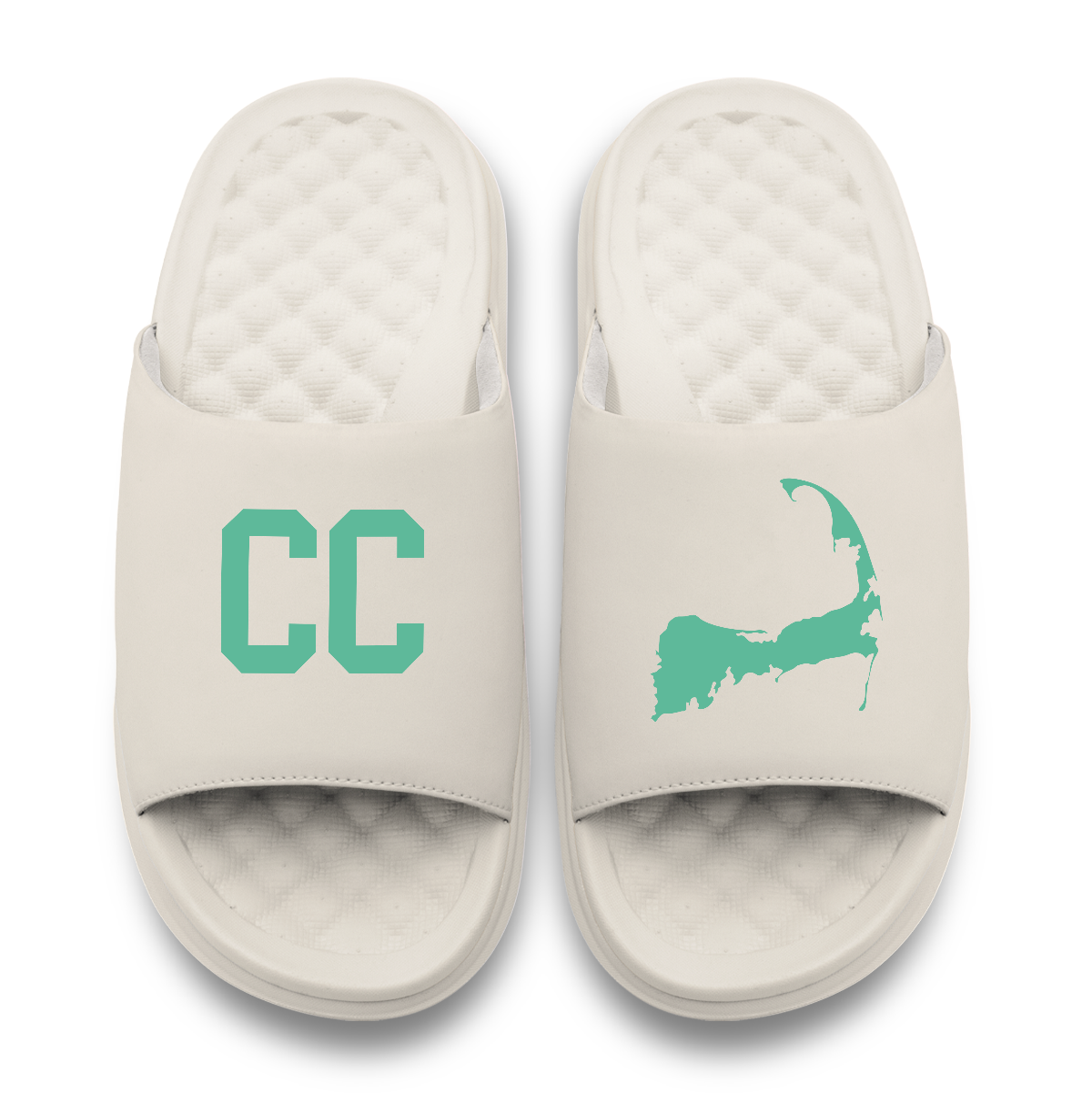 Cape Cod Outline Motive