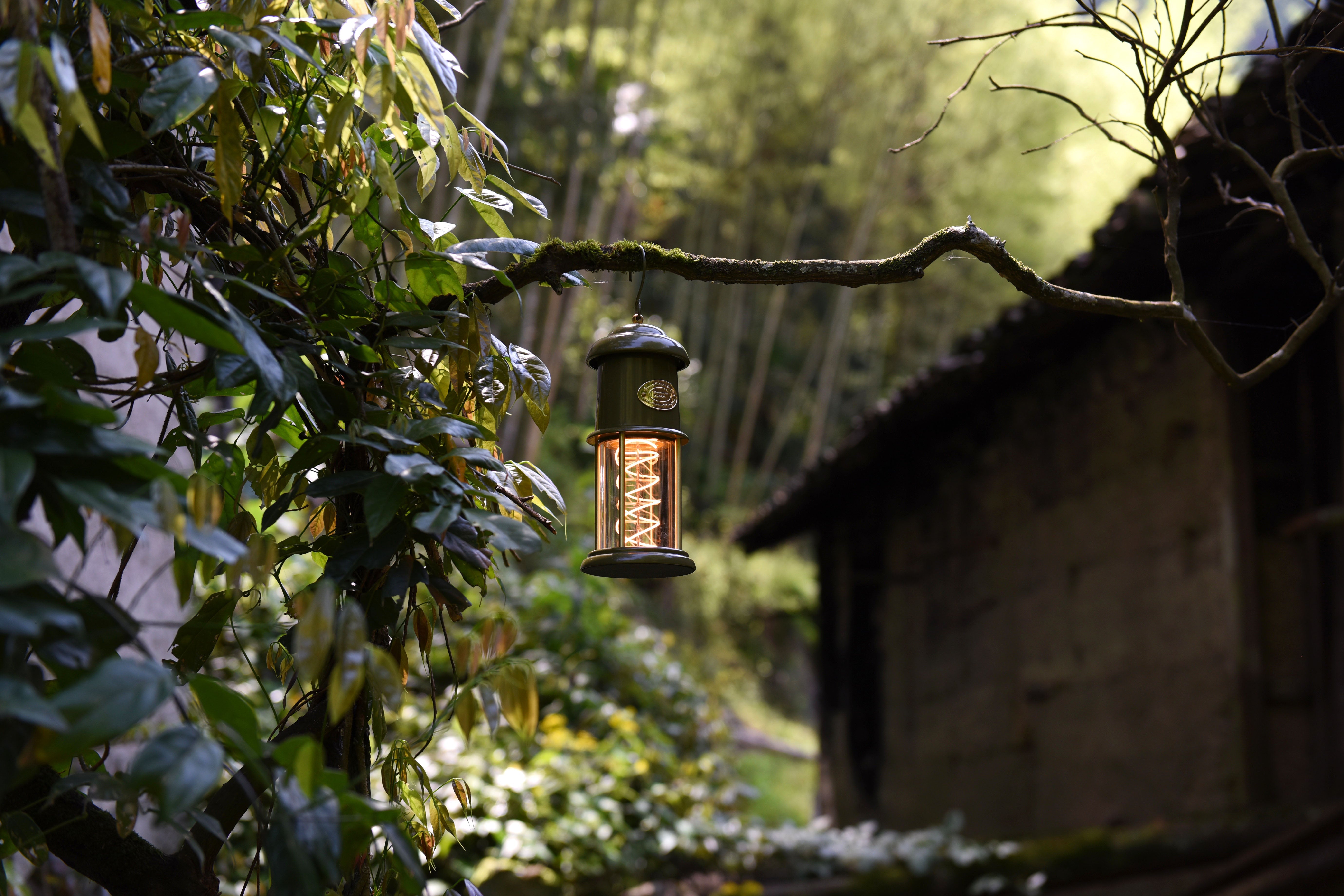 Meteor Green color camping Lantern by Peterson Housewares & Artwares