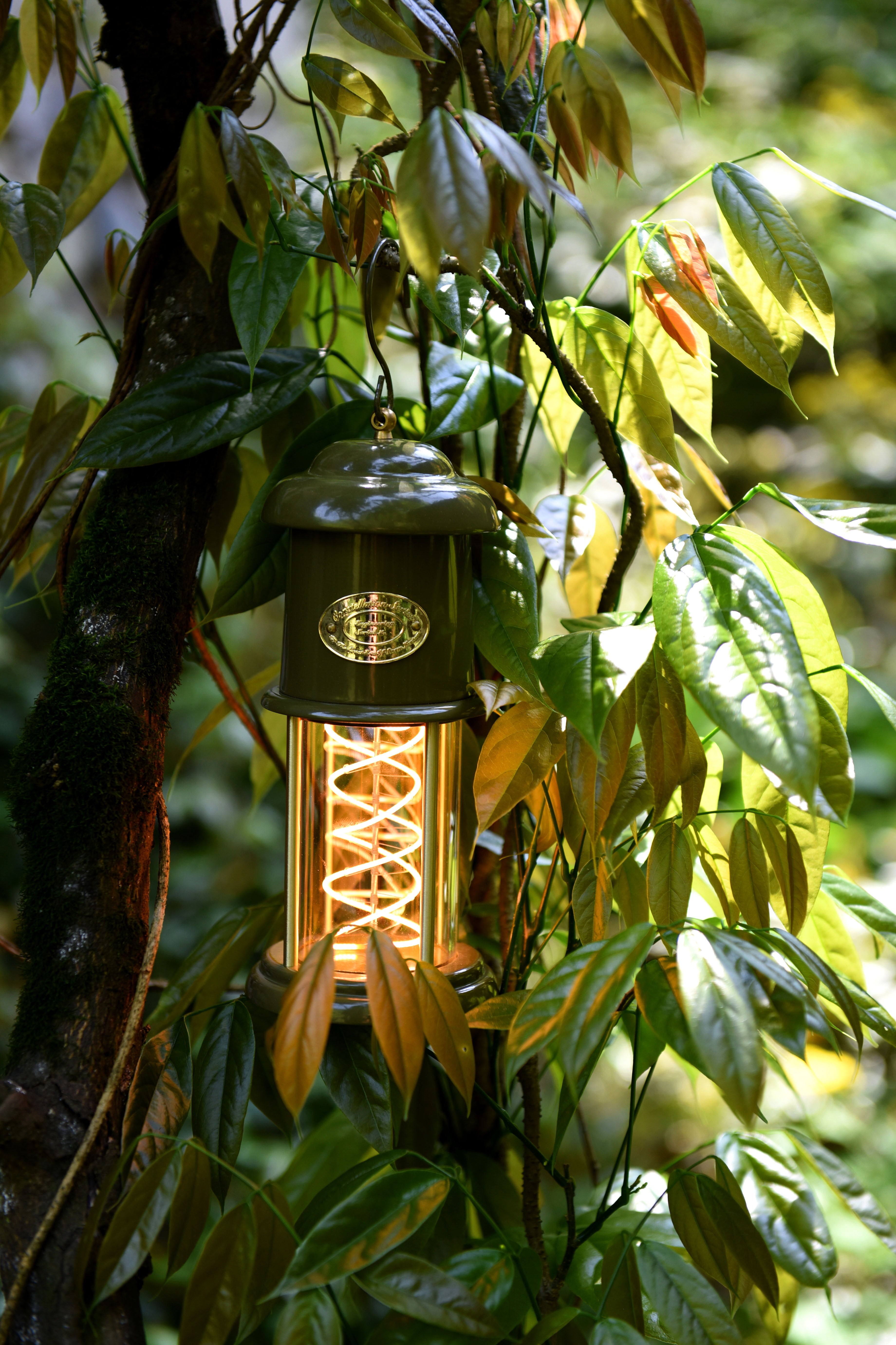 Meteor Green color camping Lantern by Peterson Housewares & Artwares