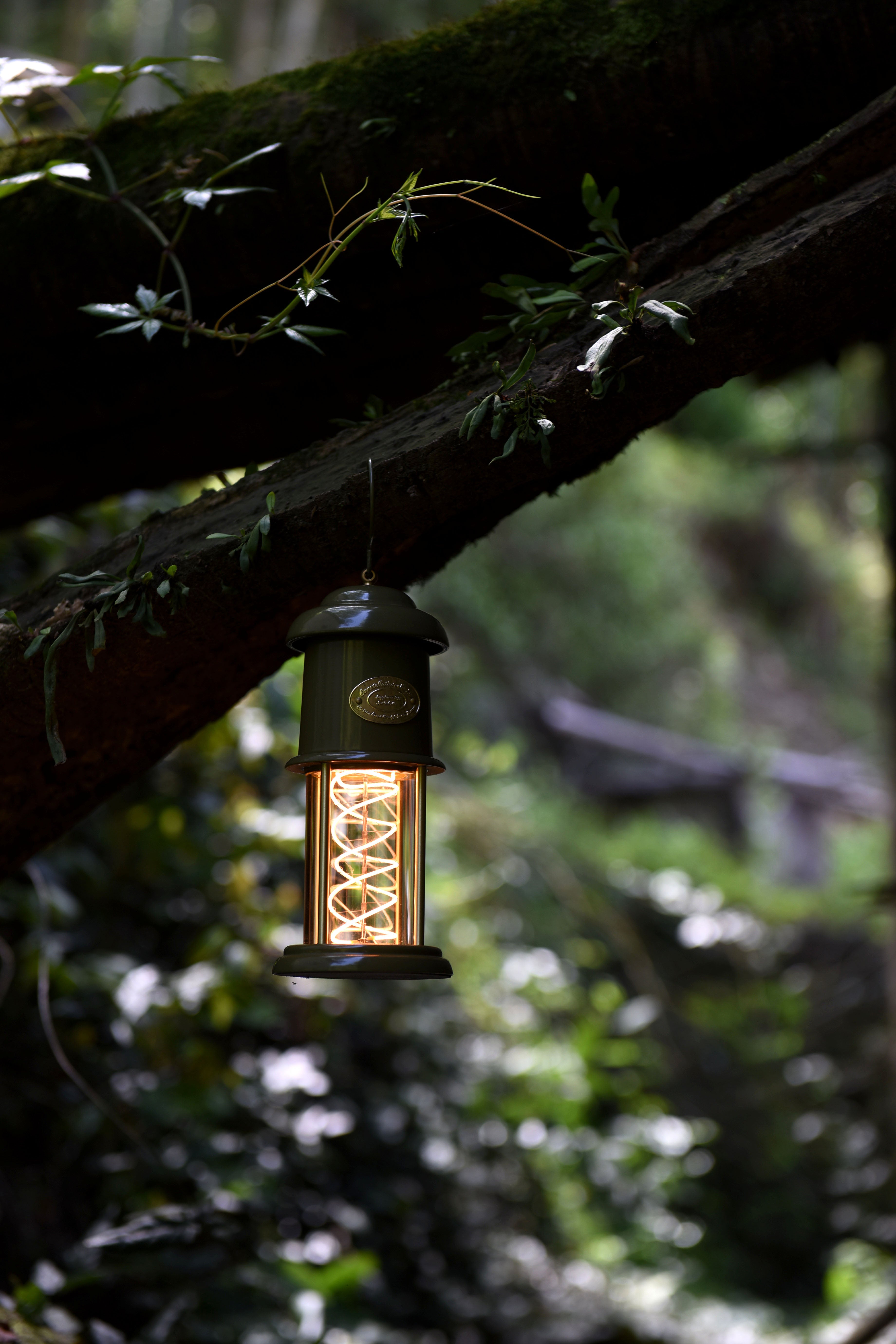 Meteor Green color camping Lantern by Peterson Housewares & Artwares