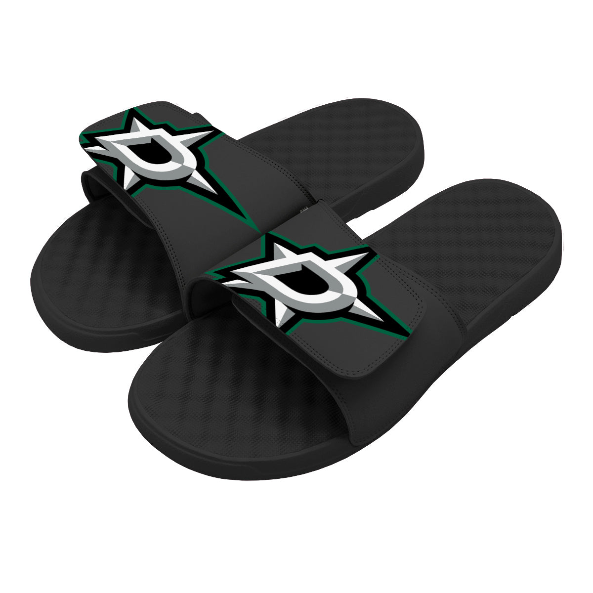 Dallas Stars Blown Up Slides