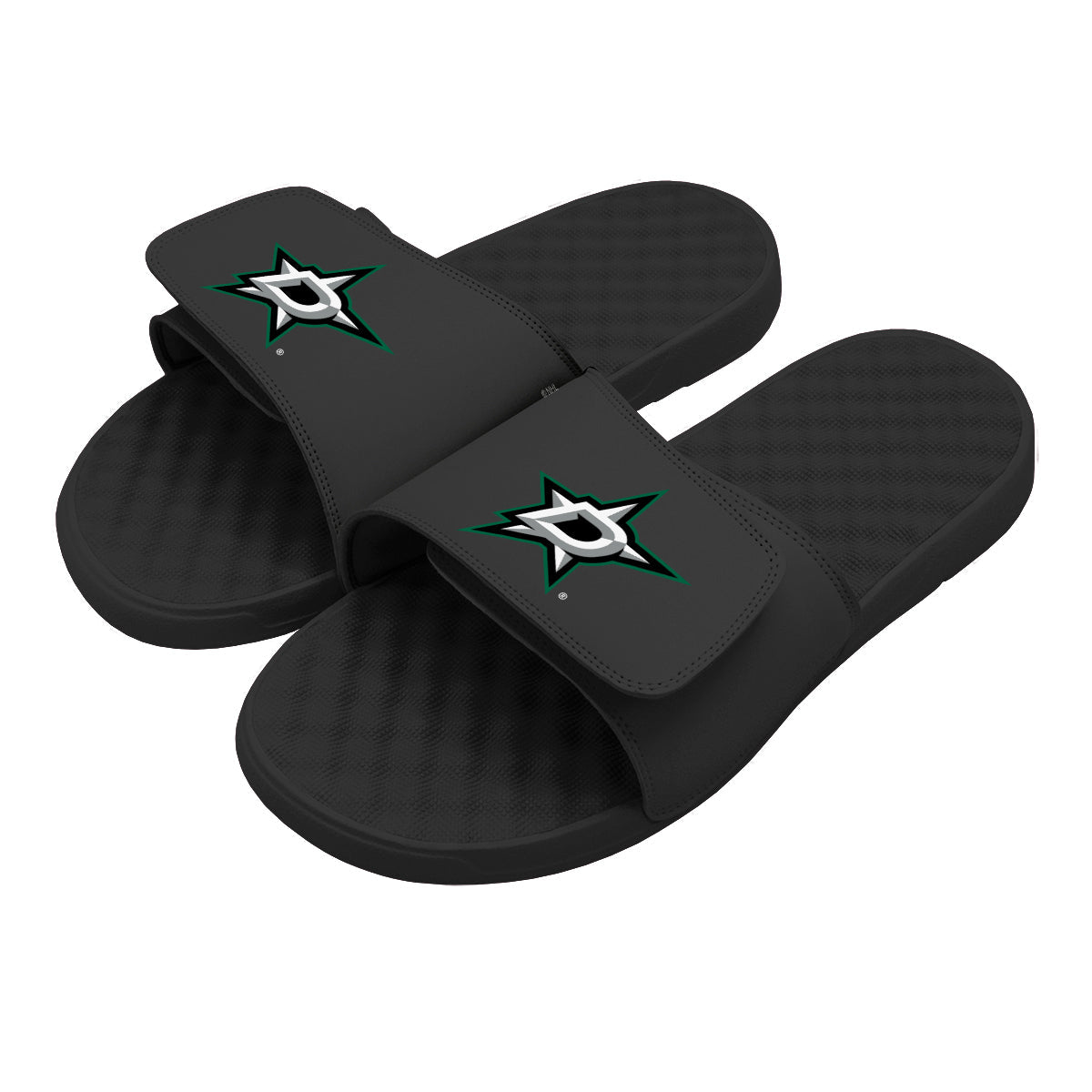 Dallas Stars Primary Slides