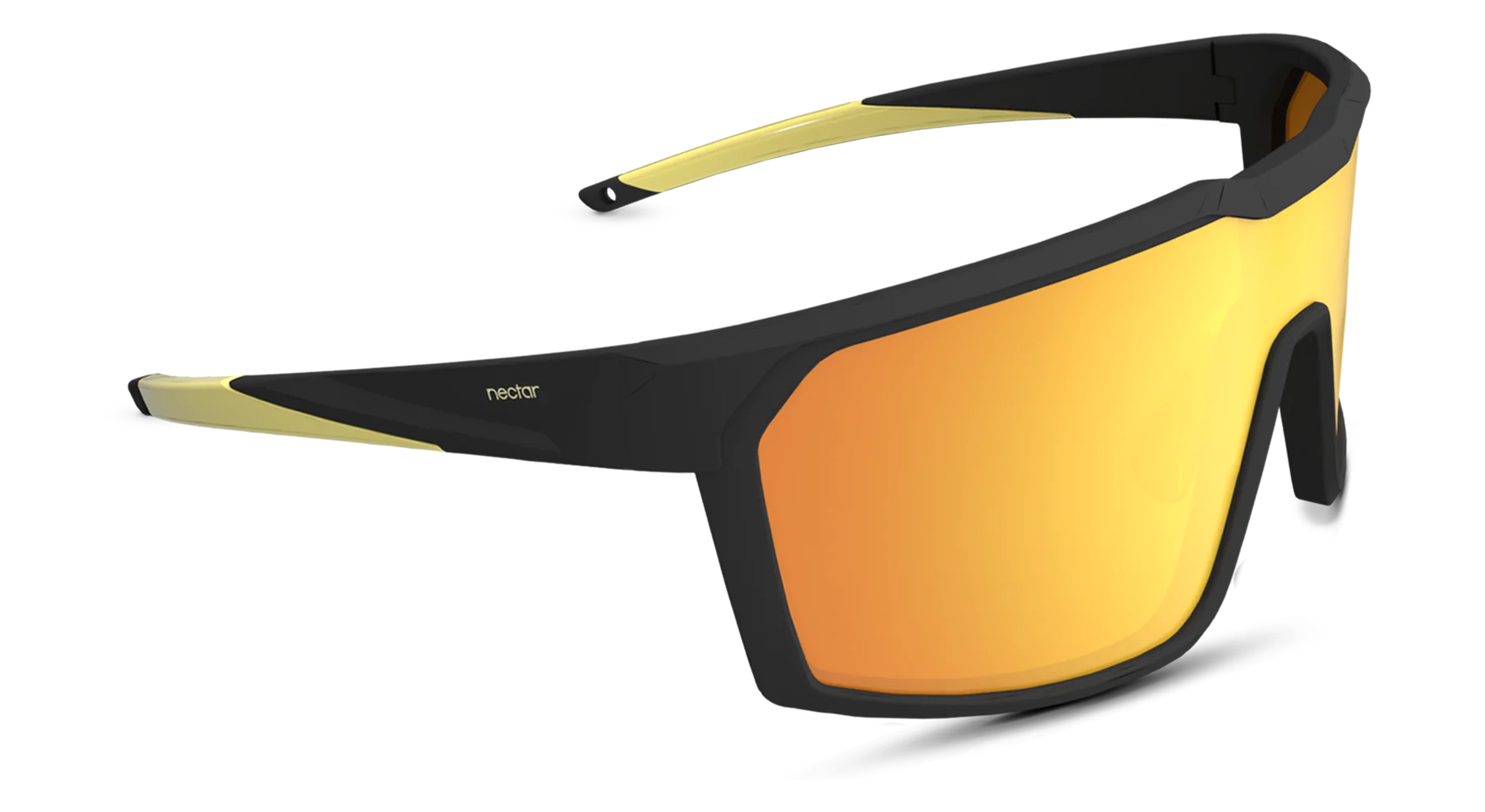 Ellijay Sunglass Shield