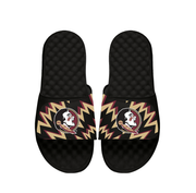 NCAA Florida State High Energy Slides