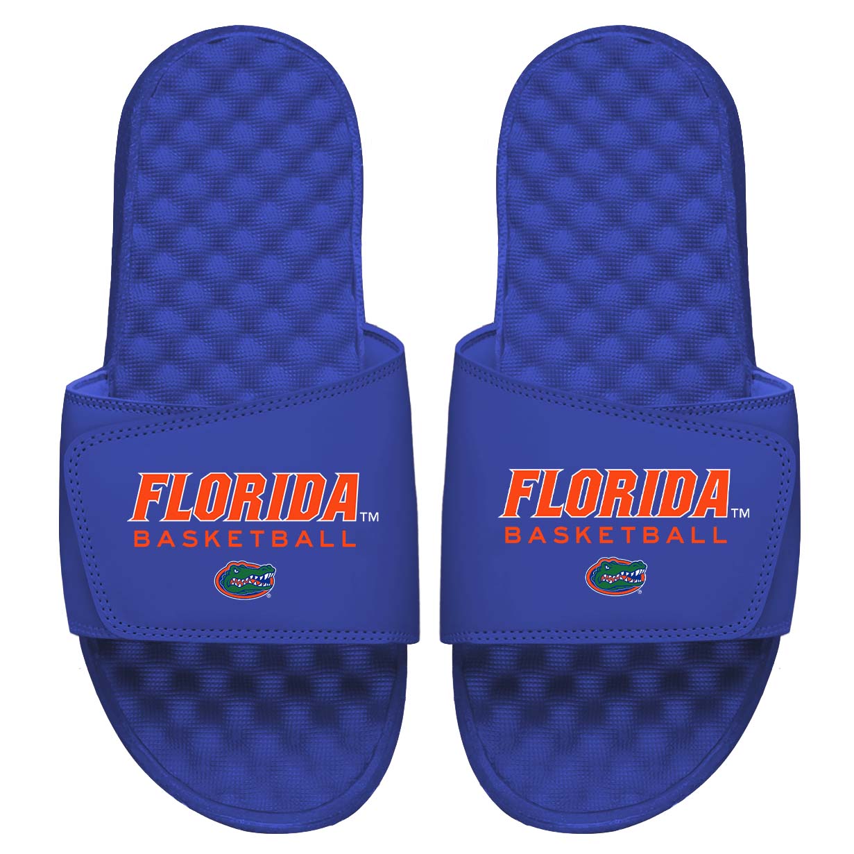Florida Gators Basketball Wordmark Slides