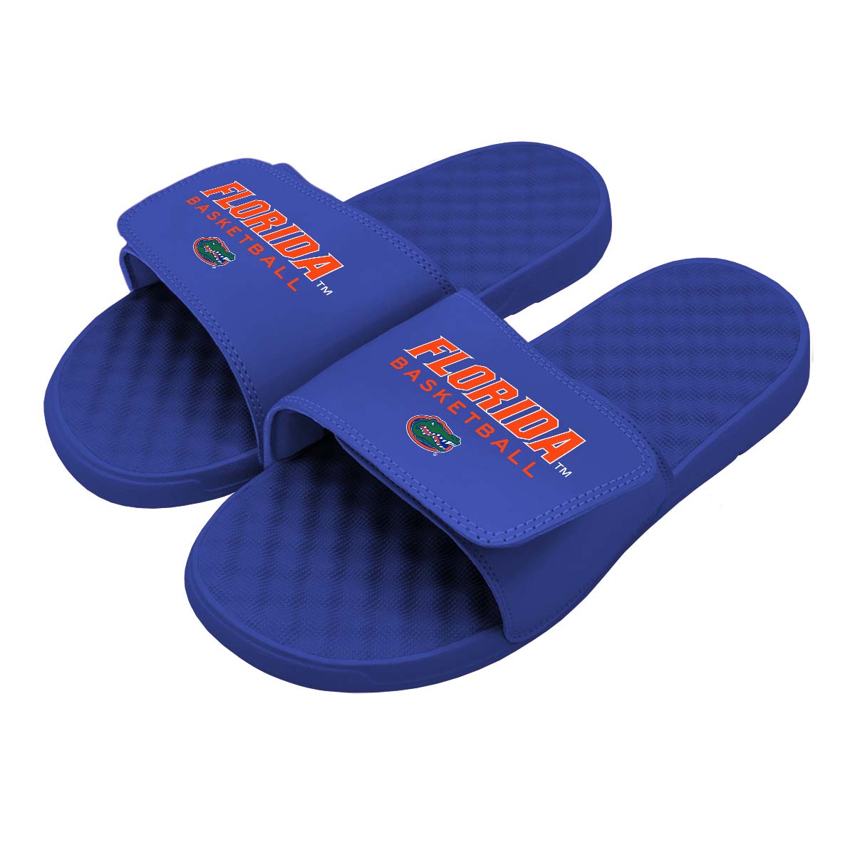 Florida Gators Basketball Wordmark Slides