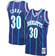 Charlotte Hornets Dell Curry Throwback Jersey