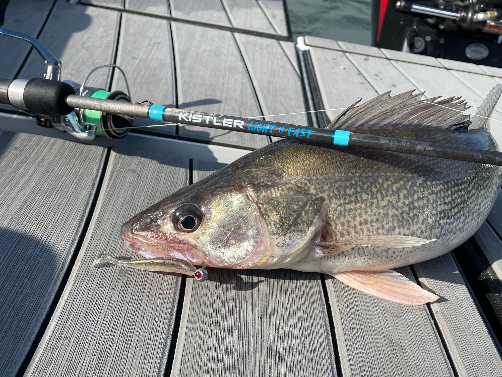 Light N' Fast Fishing Rod