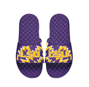 NCAA LSU High Energy Slides
