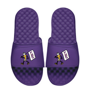 LSU Tigers Life is Good Flag