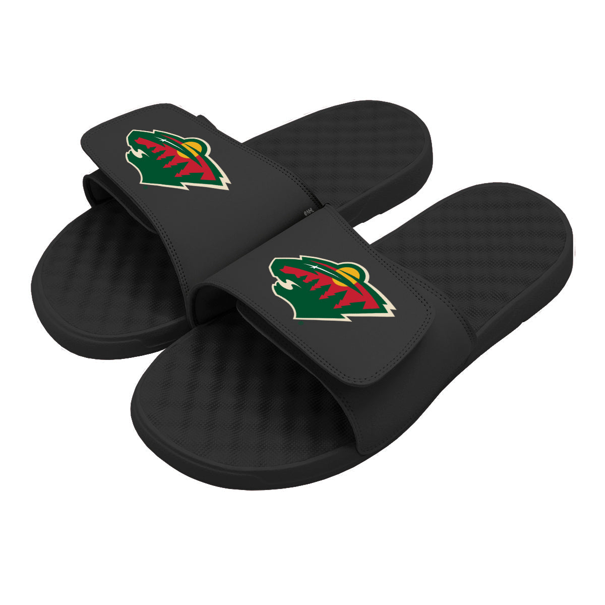 Minnesota Wild Primary Slides