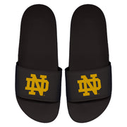 Notre Dame Primary Motto Slides