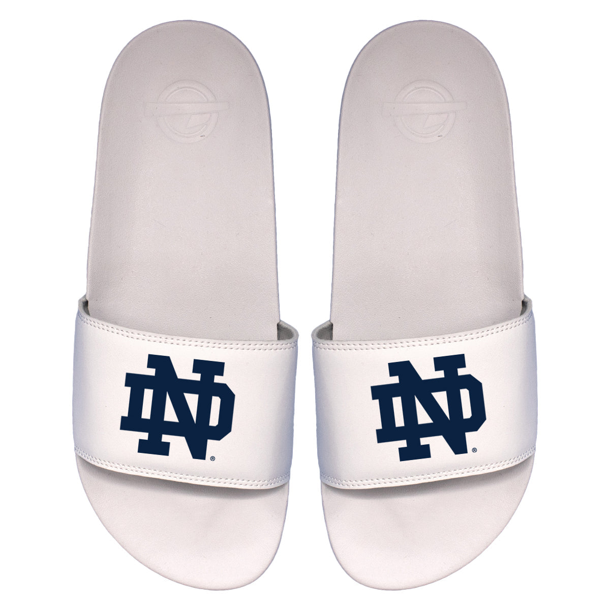 Notre Dame Primary Motto Slides