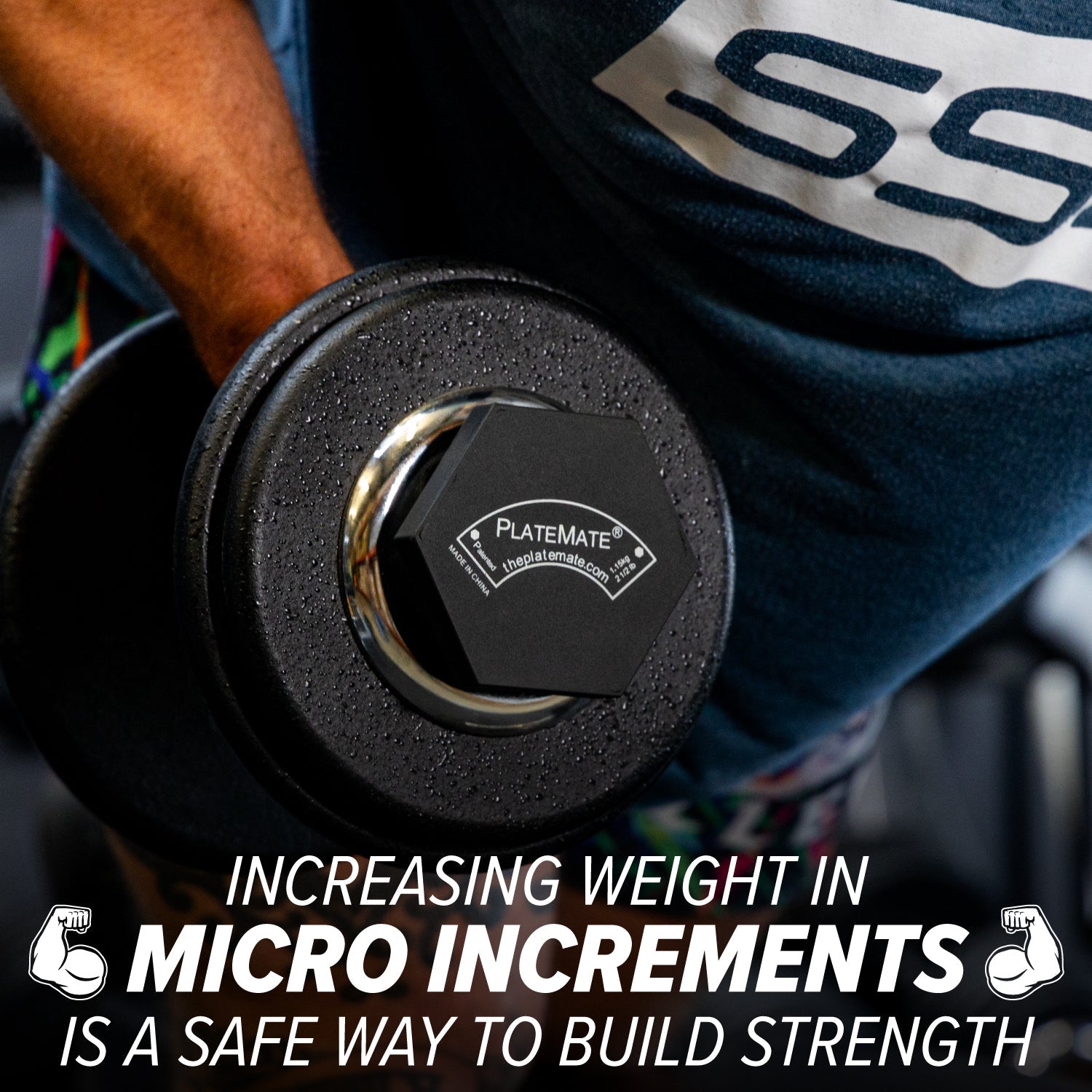 2.5 lb Hex PlateMate (Pair)