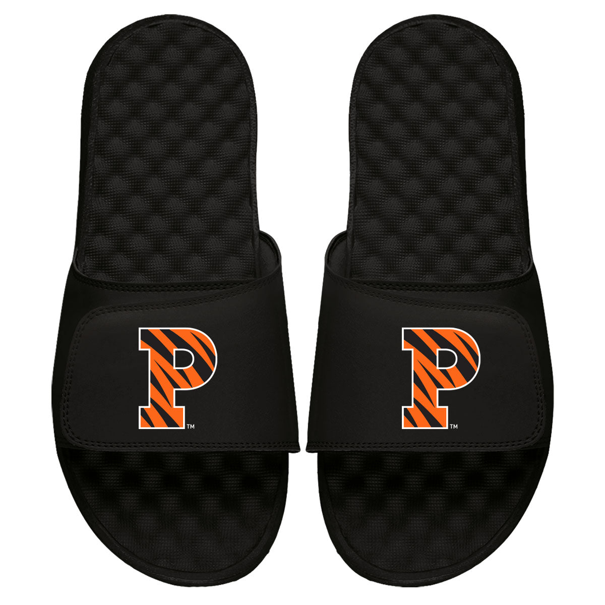 Princeton Primary Logo Slides