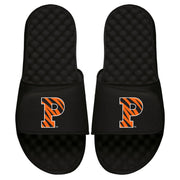 Princeton Primary Logo Slides
