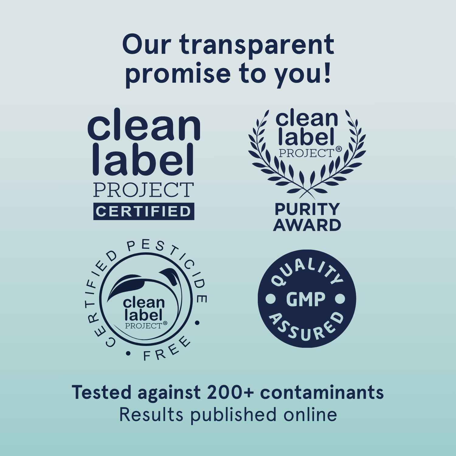 PB - Plant Protein Booster