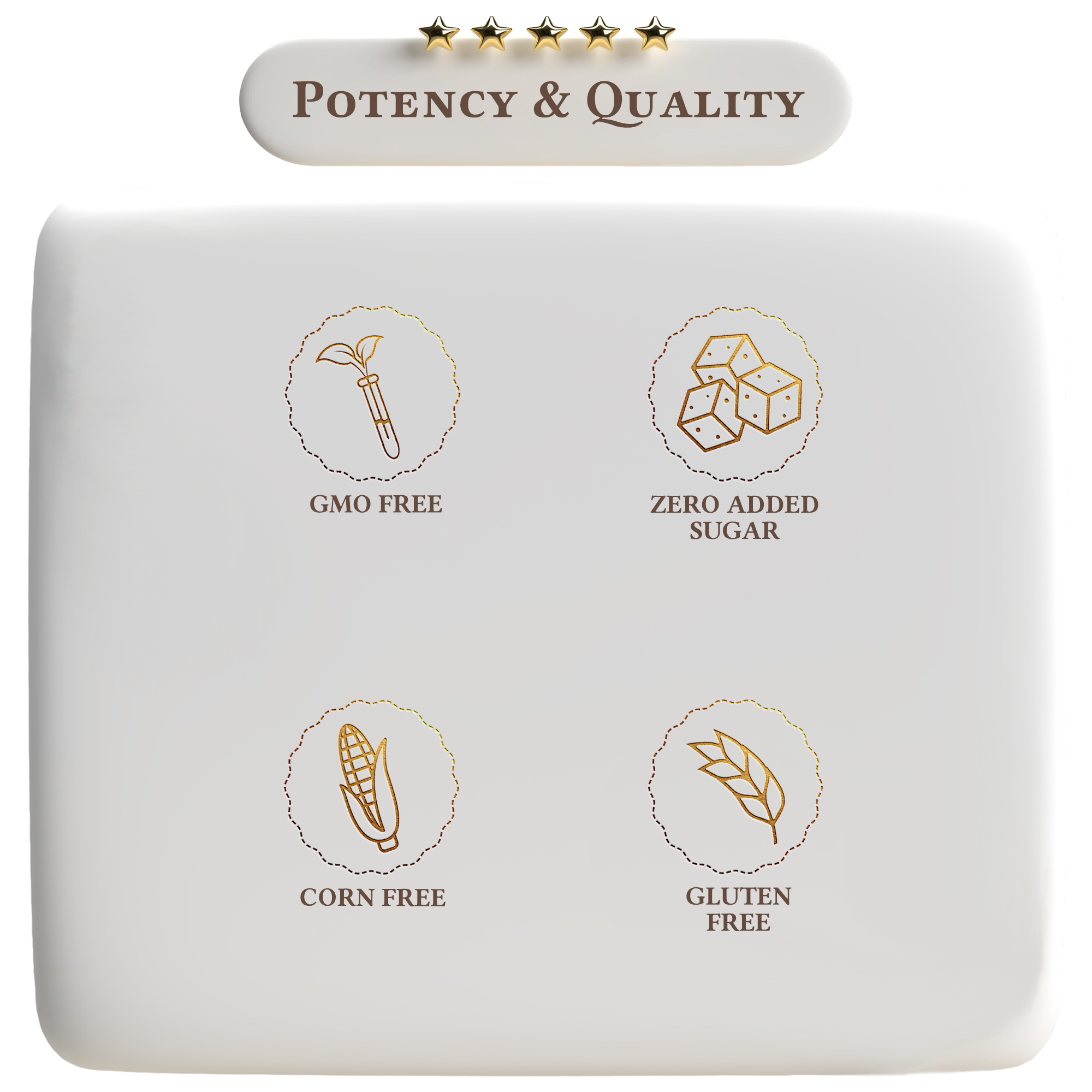 Elderberry, Zinc and Vitamin C Formula