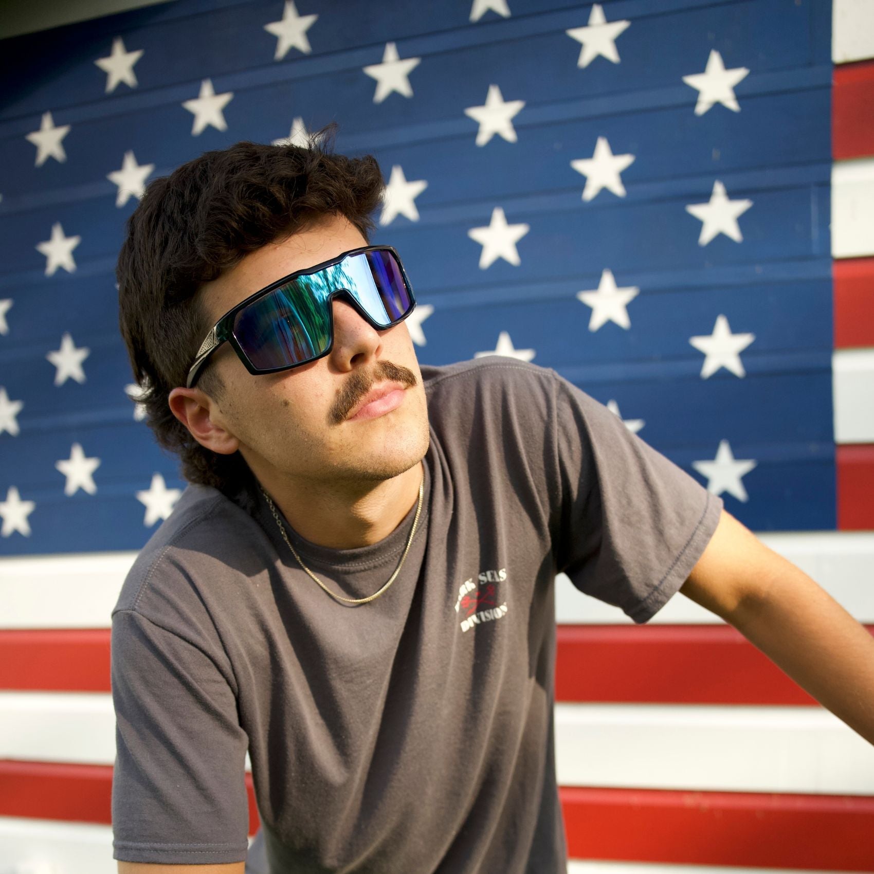 Ellijay Sunglass Shield