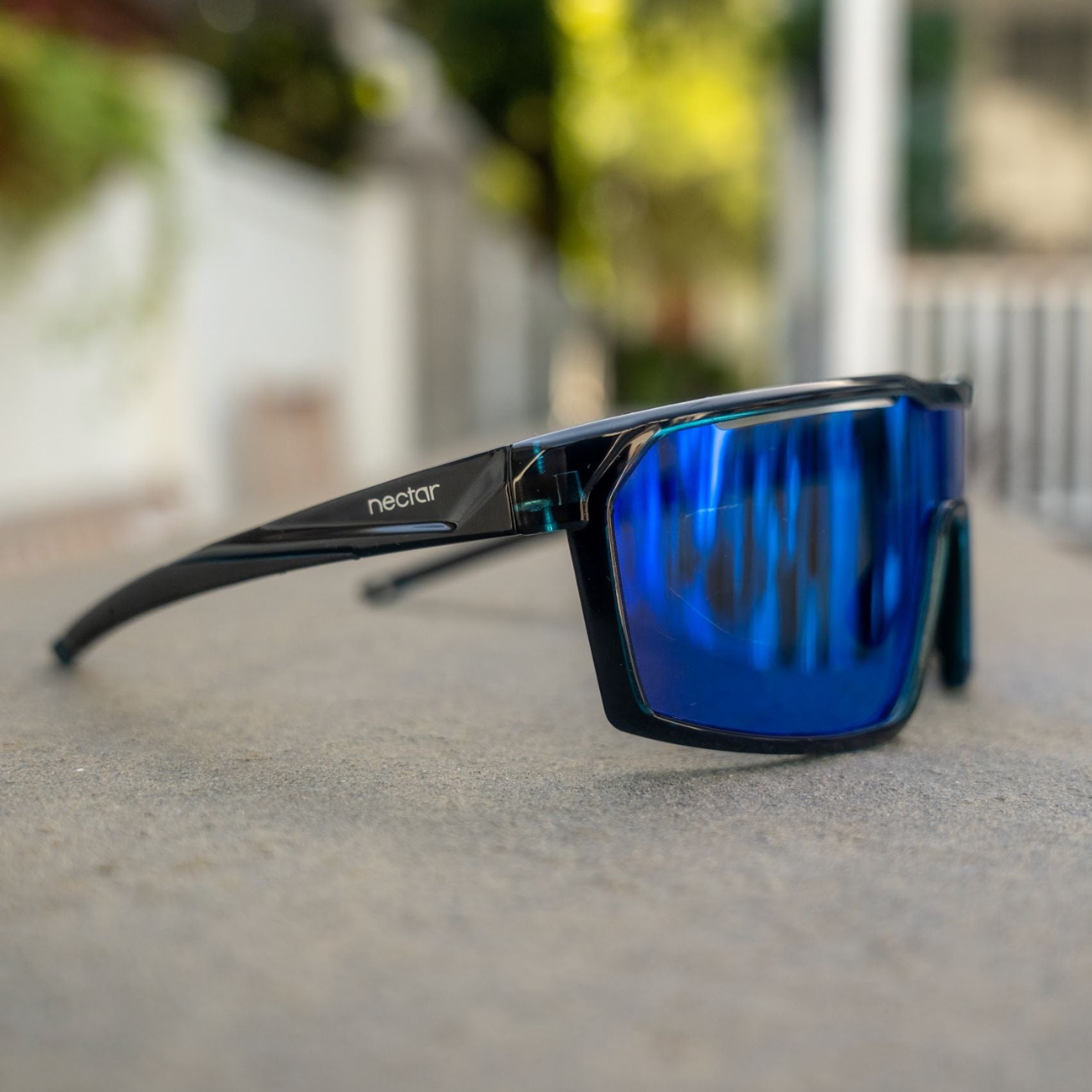 Ellijay Sunglass Shield