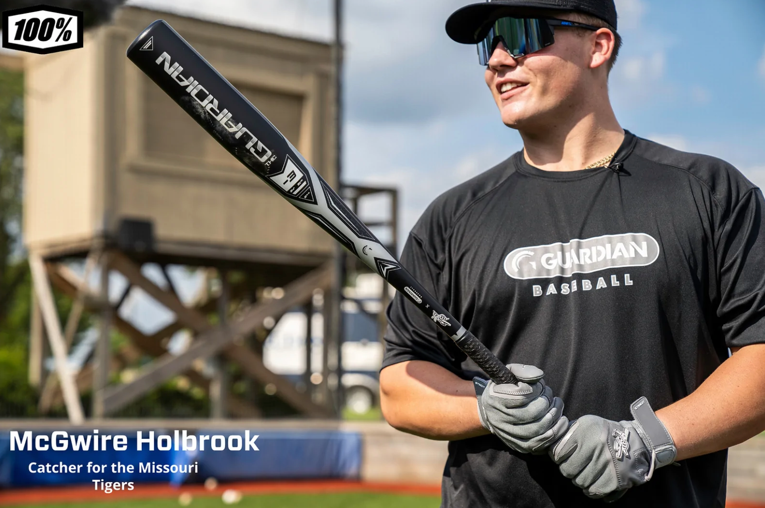 Stinger Guardian Bbcor Certified -3 Baseball Bat