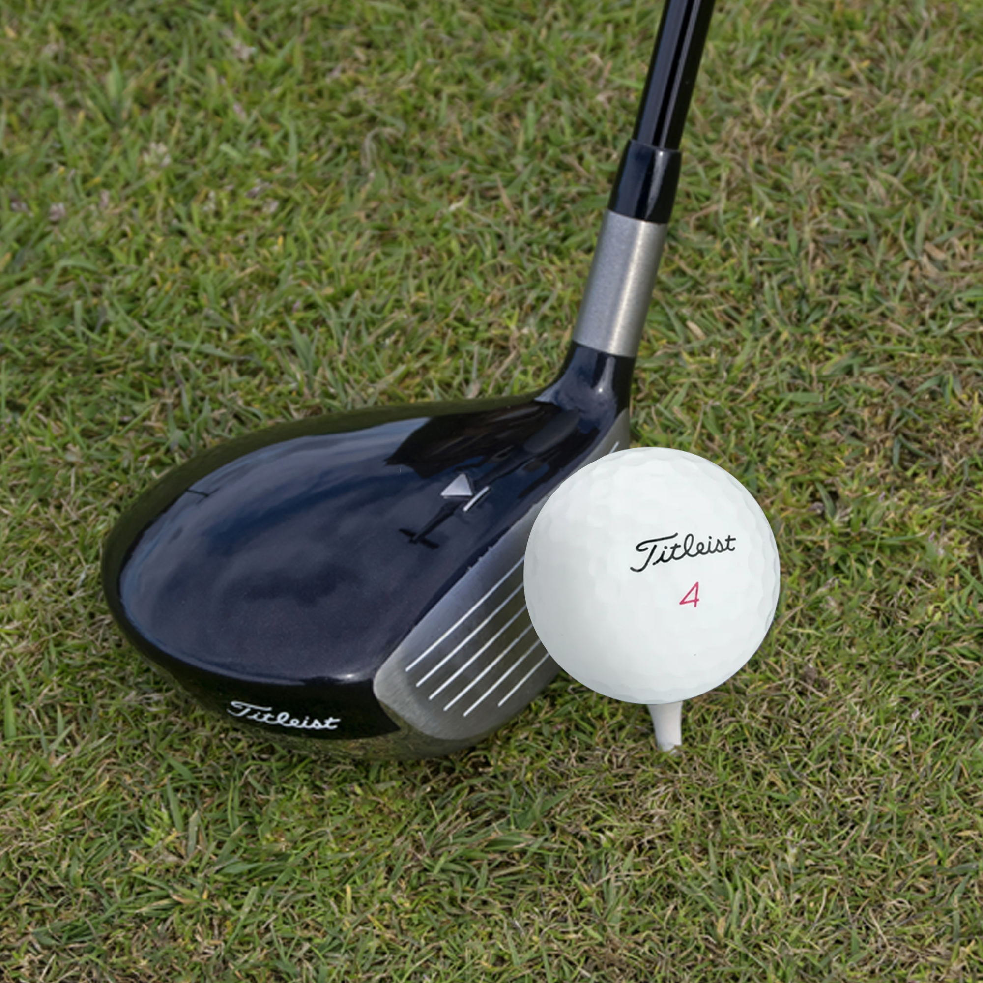 Used Titleist Pro V1x Mix Golf Balls (One Dozen)